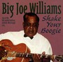 Shake Your Boogie - Big Joe Williams 