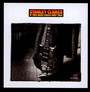 If This Bass Could Only Talk - Stanley Clarke