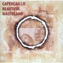 Beautiful Wasteland - Capercaillie