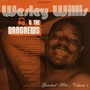 Greatest Hits 3 - Wesley Willis
