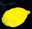 Extended Play - Raincoats Extended Play - Raincoats