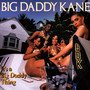 It's A Big Daddy Thing - Big Daddy Kane