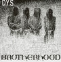 Brotherhood - Dys