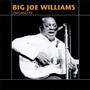 Chicago 63 - Big Joe Williams 