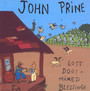 Lost Dogs & Missed Blessi - John Prine