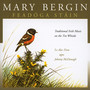 Feadoga Stain - Mary Bergin