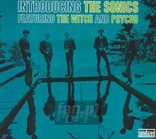 Introducing The Sonics - The Sonics - bigger Introducing The Sonics - The Sonics