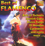 Best Of Flamenco - V/A
