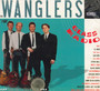 Glass Radio - Wanglers