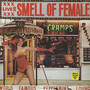 Smell Of Female -Live - The Cramps