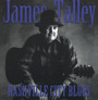 Nashville City Blues - James Talley