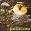 Pollution - Franco Battiato