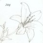 Joy - Joy   