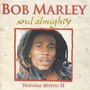 Soul Almighty -Natural Mystic - Bob Marley