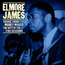 Shake Your Money Maker - Elmore James