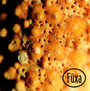 Accretion - Fuxa