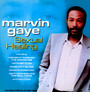 Sexual Healing - Marvin Gaye