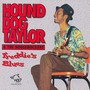 Freddie's Blues - Hound Dog Taylor 