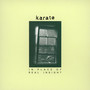 In Place Of Real Insight - Karate