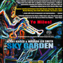 Sky Garden - Henry Kaiser / Wadada Leo Smith 