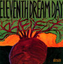 Beet - Eleventh Dream Day