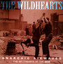 Anarchic Airwaves - The Wildhearts