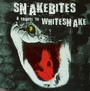 Snakebites - Tribute to Whitesnake
