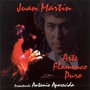 Arte Flamenco Puro - Juan Martin