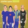 Stereoids - Psychotic Youth