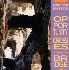 Opportunity Crosses Bridg - Forever Einstein