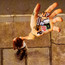 Up Up Up Up Up Up - Ani Difranco Up Up Up Up Up Up - Ani Difranco