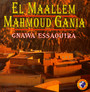 Gnawa Essaouira - El Maallem Mahmoud Gania 