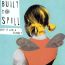 Keep It Like A Secret - Built To Spill