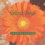 Century Flower - Shelleyan Orphan