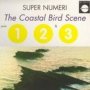 Coastal Bird Scene - Super Numeri