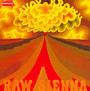 Raw Sienna - Savoy Brown