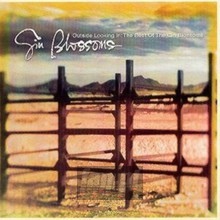 Outside Looking In - Gin Blossoms