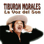 La Voz Del Son - Tiburon Morales