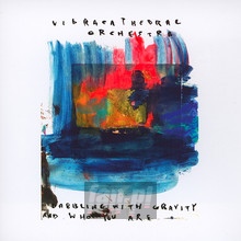Dabbling With Gravity - Vibracathedral Orchestra - powiększ Dabbling With Gravity - Vibracathedral Orchestra