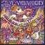 About Time - Steve Winwood