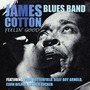 Feelin' Good - James Cotton