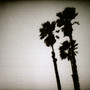 Blackberry Belle - The Twilight Singers 