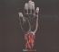 You Fail Me - Converge