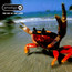 The Fat Of The Land - The Prodigy