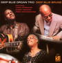 Deep Blue Bruise - Deep Blue Organ Trio