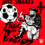 Audit In Progress - Hot Snakes