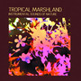 Tropical Marshland - Sound Effects