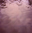 We Move Through Weathers - Tarentel