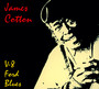 V-8 Ford Blues - James Cotton