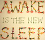 Awake Is The New Sleep - Ben Lee
